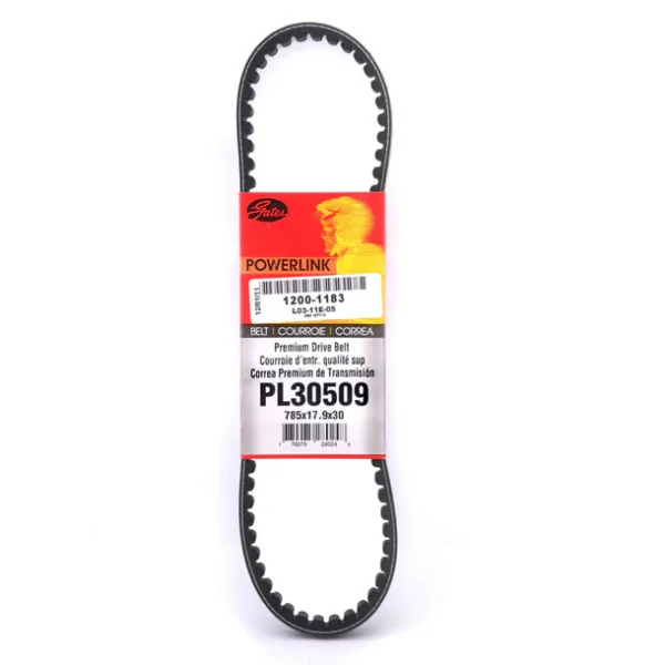 Gates Belt (785x18x30) for Honda Ruckus